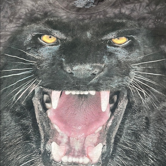 The Mountain Black Panther Tee - Short Sleeve - Picture 1 of 5